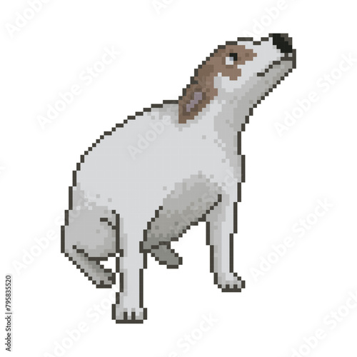 Dancing dog, pixel art meme