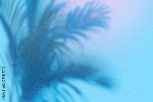 A light blue gradient background with the shadow of an abstract palm tree in a minimalistic style with negative space. (ID: 795837748)