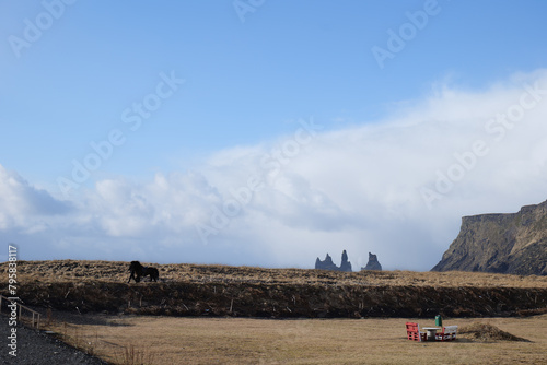 Black Sand Beach Landscape at Vik in South Iceland