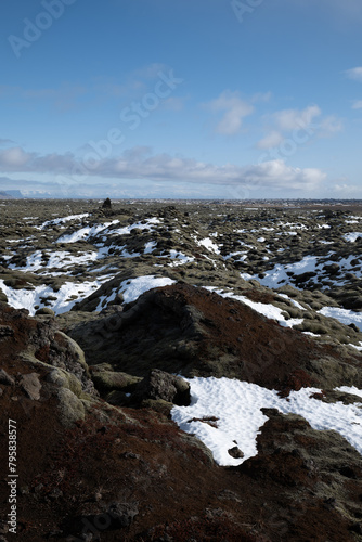 Eldhraun Lava Fields Landscape in Iceland Covered with Moss and Snow