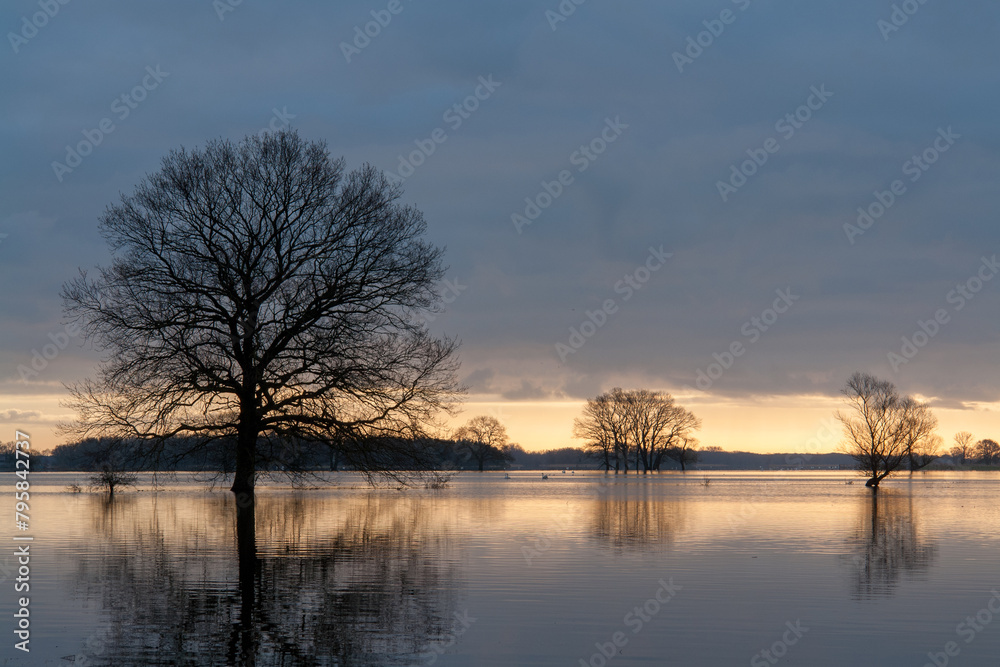 Flooded areas in Elbe-Havel-Land, Germany, reveal the aftermath of rivers bursting their banks, with waters engulfing fields and settlements. Flooded areas in Elbe-Havel-Land, Germany, reveal the aftermath of rivers bursting their banks, with waters engulfing fields and settlements.