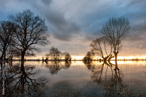 Flooded areas in Elbe-Havel-Land, Germany, reveal the aftermath of rivers bursting their banks, with waters engulfing fields and settlements.