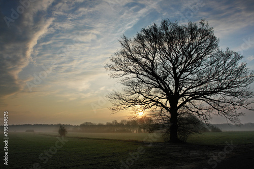 A serene morning landscape in Northern Germany  misty fields  rolling hills  quaint villages  and towering wind turbines under the soft dawn light.
