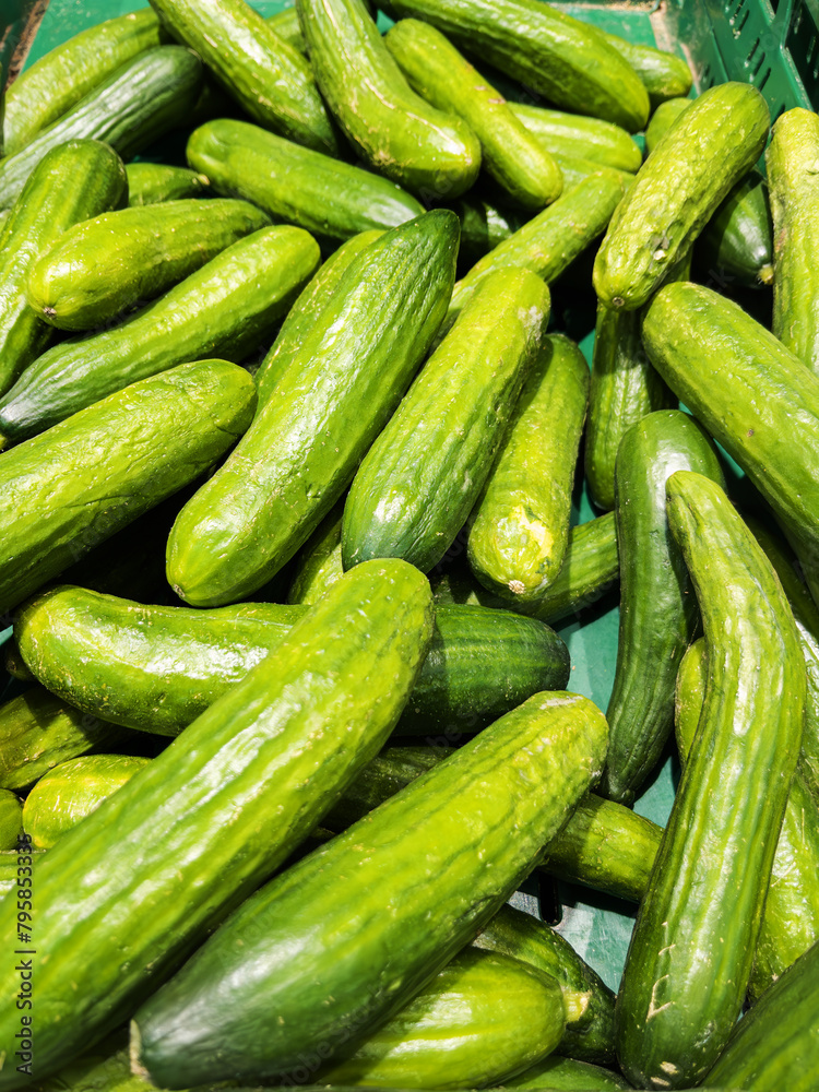Fresh Green Cucumbers in Market Fresh Green Cucumbers in Market