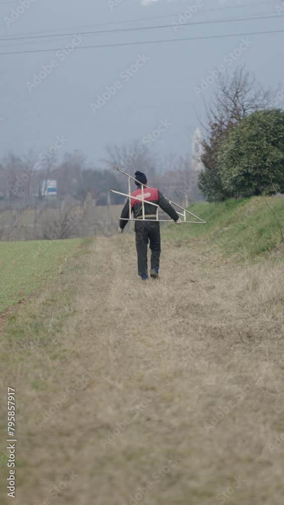 A gardener walks away with a ladder A gardener walks away with a ladder