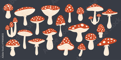Vector Hand Drawn Cartoon Fly Agaric Mushrooms. Amanita Muscaria, Fly Agaric Illustration, Mushrooms Collection. Magic Mushroom Set, Design Template