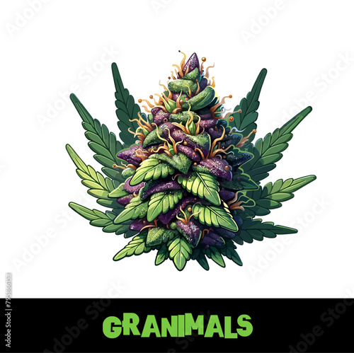 Vector Illustrated Granimals Cannabis Bud Strain Cartoon (ID: 795866153)