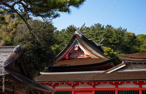 緑の中で調和する艶やかな神社 / 島根県出雲市大社町日御碕神社
