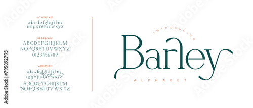 Barley Elegant Font Uppercase Lowercase and Number. Classic Lettering Minimal Fashion Designs. Typography modern serif fonts regular decorative vintage concept. vector illustration