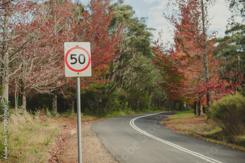 road speed sign and Autumn Leaves Background, mount wilson nsw Australia