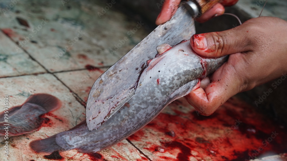 Obraz premium Slicing catfish using a knife. Focus selected. Blurred background