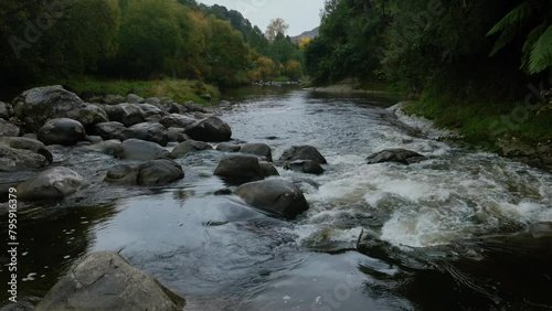 Aerial: Small rapids on the Mangawhero River. The trees are yellow in the Autumn. Kakatahi, whanganui, manawatu, New Zealand. photo