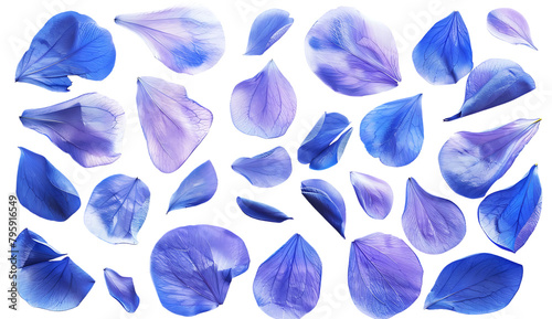 A set of blue watercolor flower petals on a white background