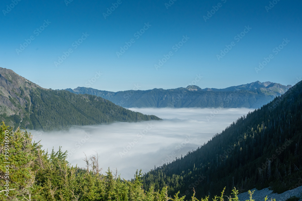 Sea of Fog Laps The Ridges Around The Hoh River Valley