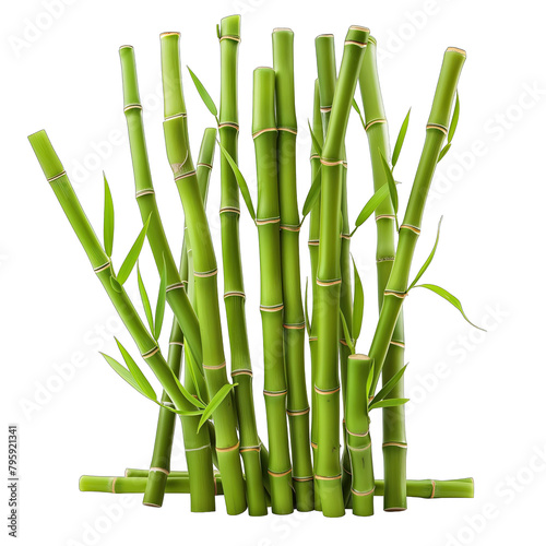 green bamboo sticks isolated on white background