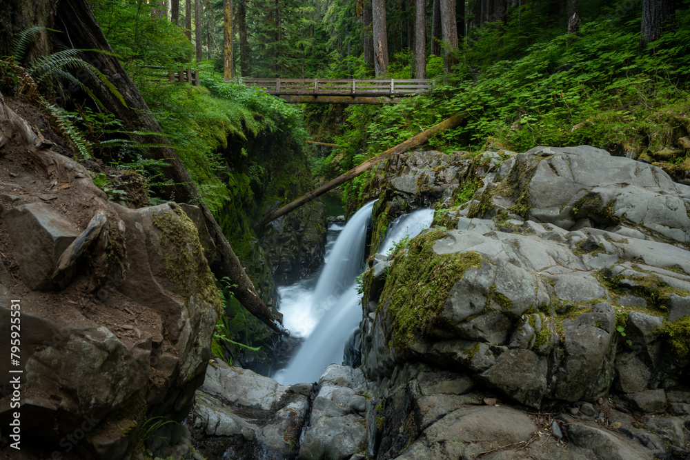 Sol Duc Falls Rushes Through The Calm Forest And Canyon Sol Duc Falls Rushes Through The Calm Forest And Canyon