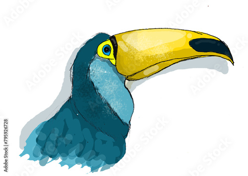 toucan brazilian Bird blue face yellow nozzle