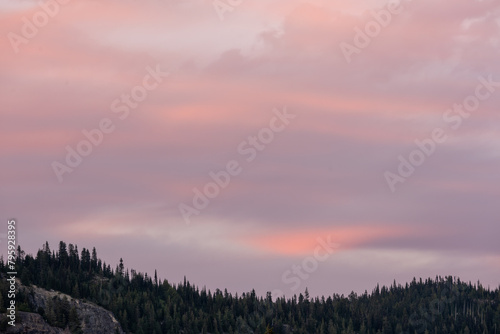 Swooping Ridge Of Pines Below Faint Pink Highlights In Evening Clouds