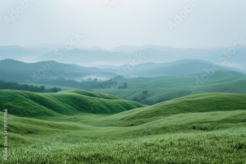 Hills hill landscape grassland.