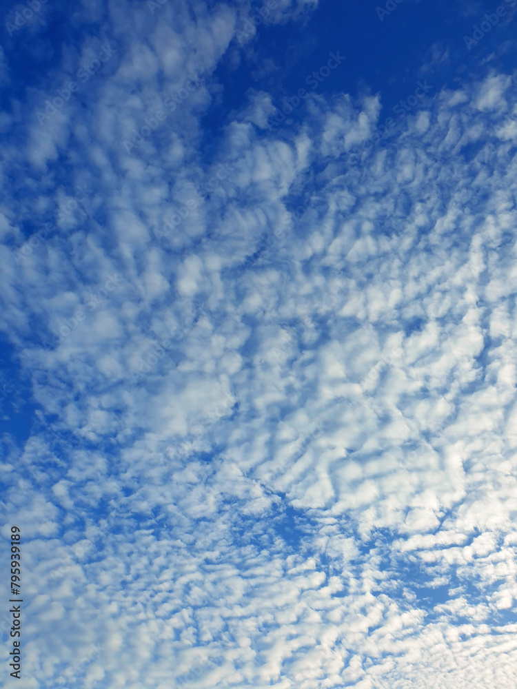 White heap clouds in the blue sky, Cloud Background, Wallpaper Sky in Morning White heap clouds in the blue sky, Cloud Background, Wallpaper Sky in Morning