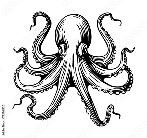 octopus engraving black and white outline