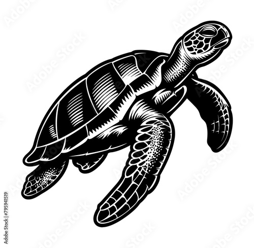 sea turtle engraving black and white outline
