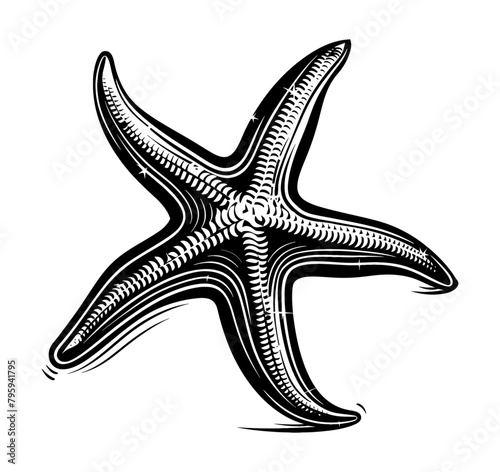 starfish engraving black and white outline