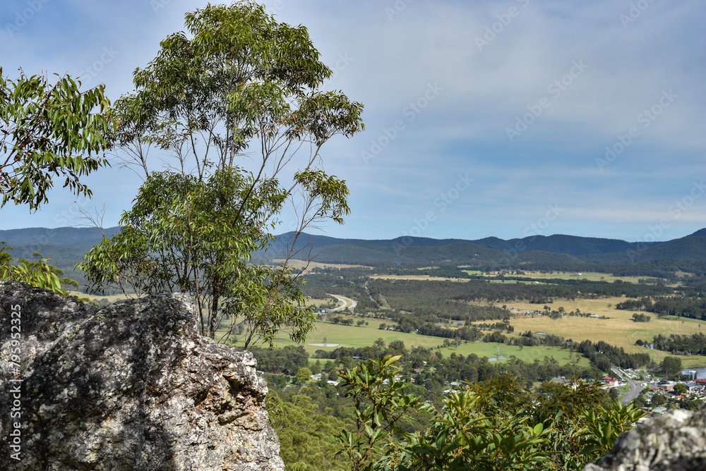 Mount Alum bush walk at Bulahdelah