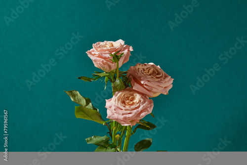 Φωτογραφία Photo for beauty or scents product with some beautiful pink rose branches against on dark blue background, photo with front view