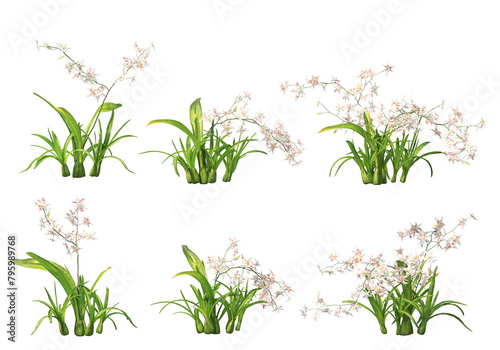 3D render various types of flowers and ivy on transparent background.