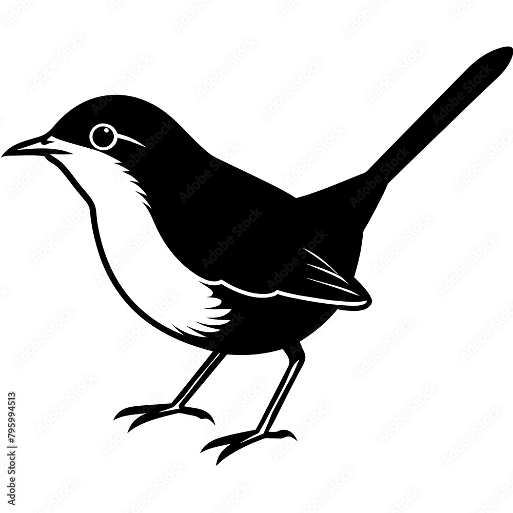 Obraz premium bird on a branch