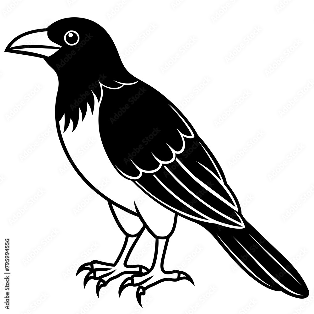 crow on a branch crow on a branch