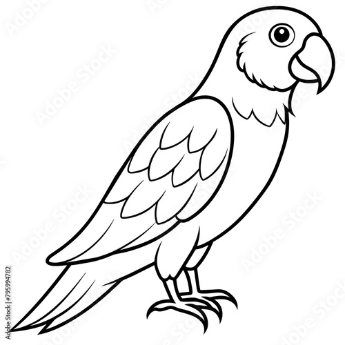 parrot