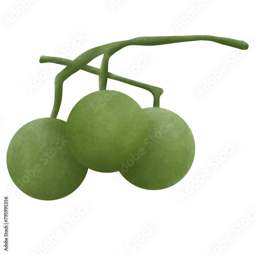 Siraitia grosvenorii, also known as monk fruit, and luohan guo, isolated on white background.Illustration Design. photo