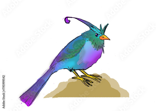 blue bird purple on the rock 