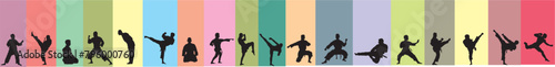 mma set silhouette