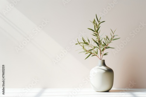 Product backdrop plant vase houseplant