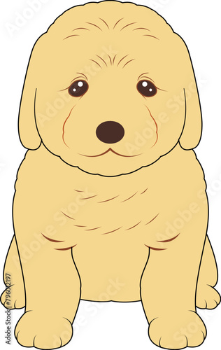 お座りするクリーム色ゴールデンレトリバーの子犬