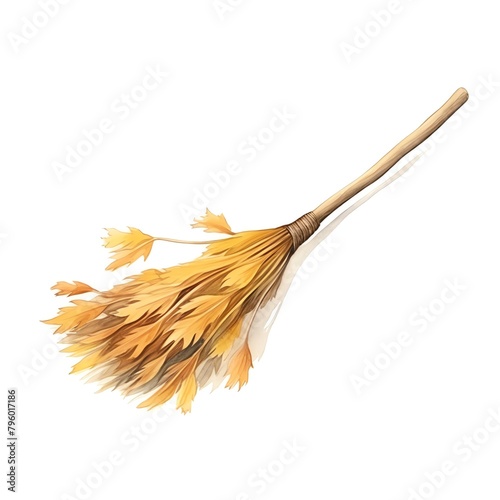 Broom, angled broom photo