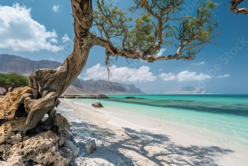 Socotra Island © Сергей Косилко