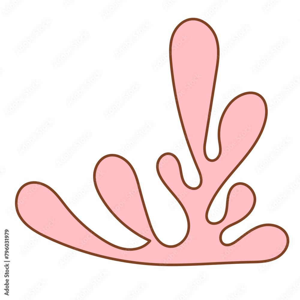 coral coral