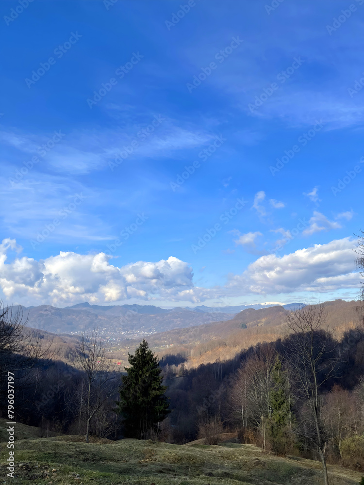 Mountains landscape. Forest. Sky. Carpathian. Trees on the hill. Beauty world. Ukraine. Environmental protection