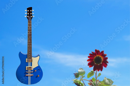 花とギター