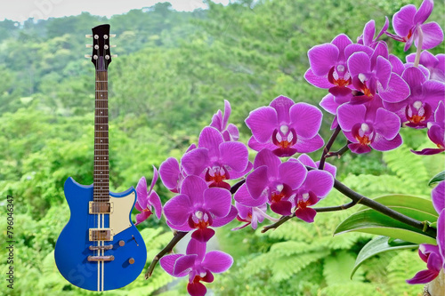 花とギター
