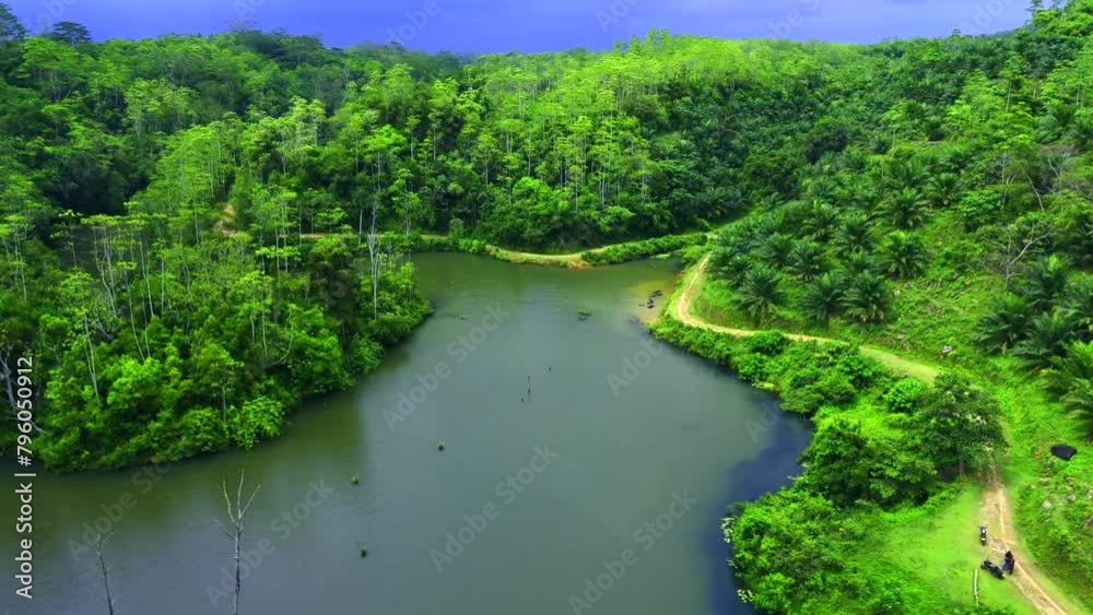 river in the forest