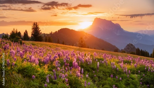 sunrise in the mountains landscape  field  nature  sky  meadow  sunset  summer  flower  grass  sun