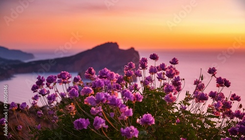 lavender field at sunset,purple, summer, sunset, spring, meadow, mountain, 