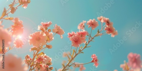 A beautiful pink flower with a blue sky in the background. The flowers are in full bloom and the sun is shining brightly