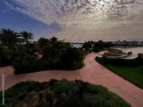 Aerial view of palm trees in a park in Marsa Alam, Egypt.