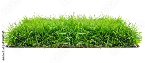 Lush green turf grass, perfectly manicured for a classic suburban lawn, showing uniformity and vibrant color, isolated on transparent background photo